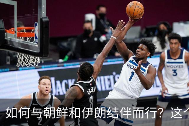 如何与朝鲜和伊朗结伴而行？这个问题值得深思！